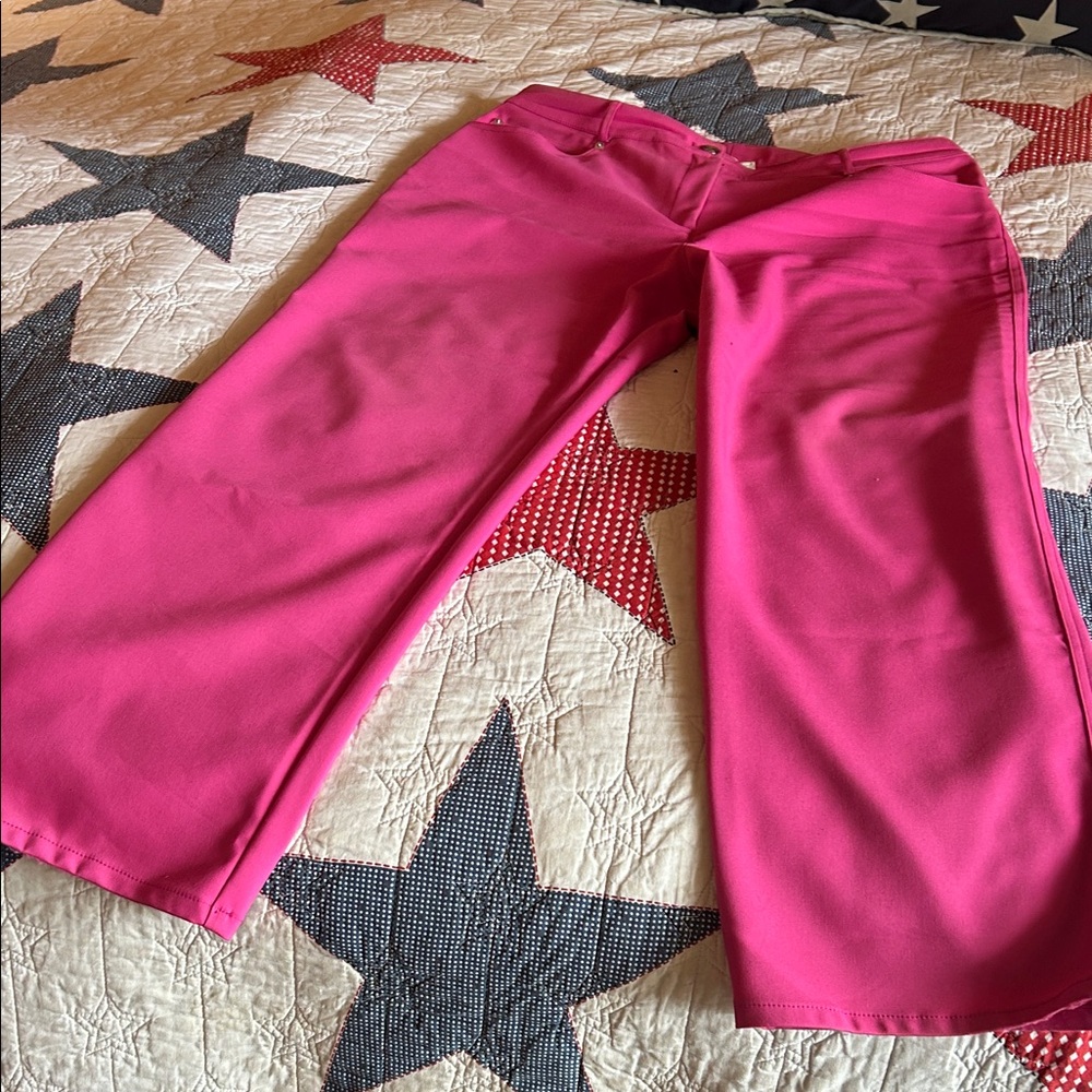 St. John Sport Fuchsia Pants